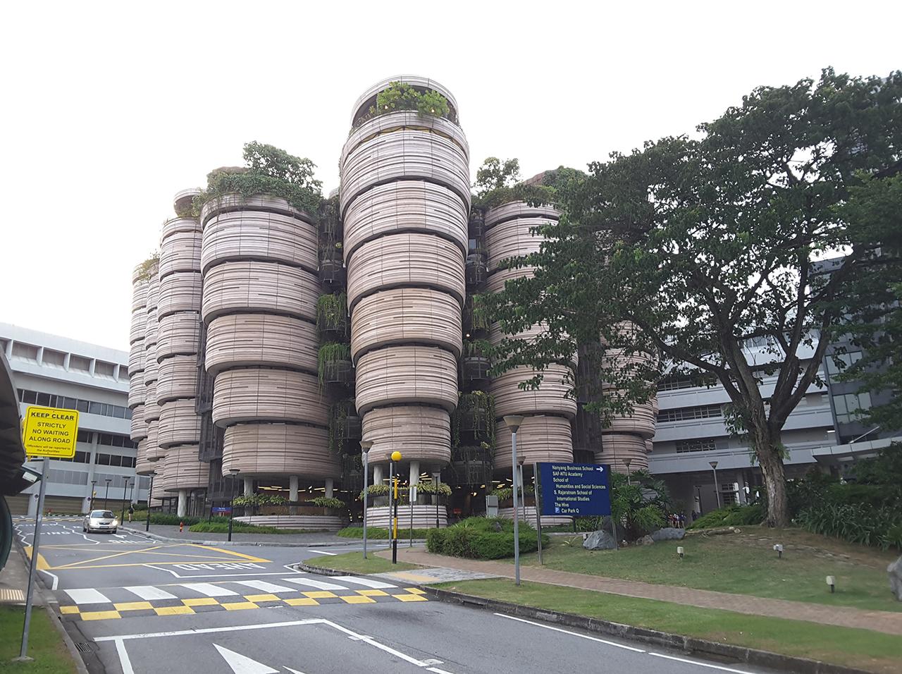 싱가포르 '난양 이공 대학교'에서의 연구원 생활